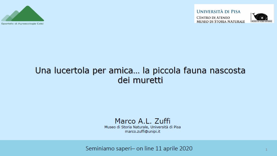 Frontespizio della presentazione che Marco zuffi ha fatto per il Seminiamo Saperi online dell'11 aprile 2020, scaricabile qui con un click.